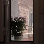 Casa Don Paulu Ostuni