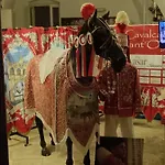 Σπίτι διακοπών Casa Don Paulu Ostuni